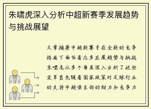 朱啸虎深入分析中超新赛季发展趋势与挑战展望
